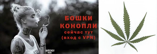 сатива Козловка