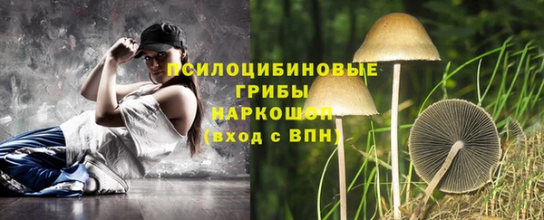 PSILOCYBIN Коряжма